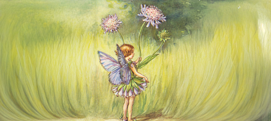 THE FLOWER FAIRIES