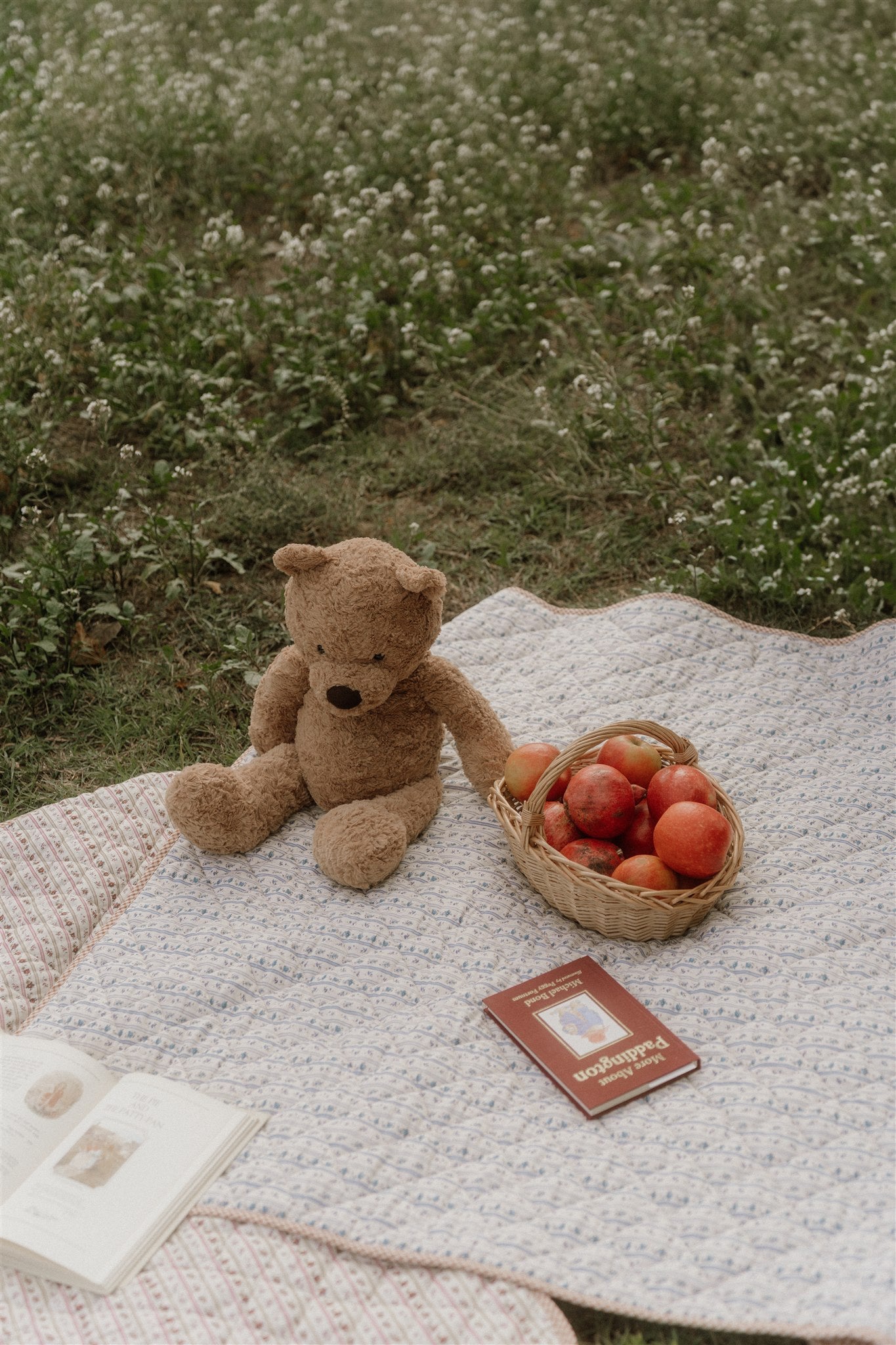 Wander Blanket Red